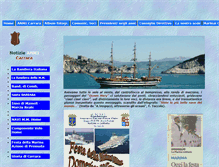 Tablet Screenshot of anmicarrara.it